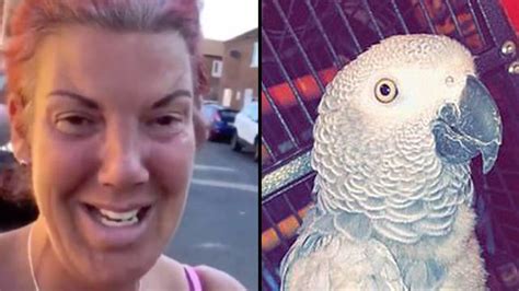chanel parrot meme